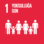 SDG 1