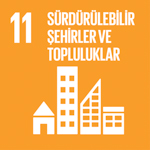 SDG 11