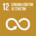 SDG 12