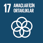 SDG Icon 17